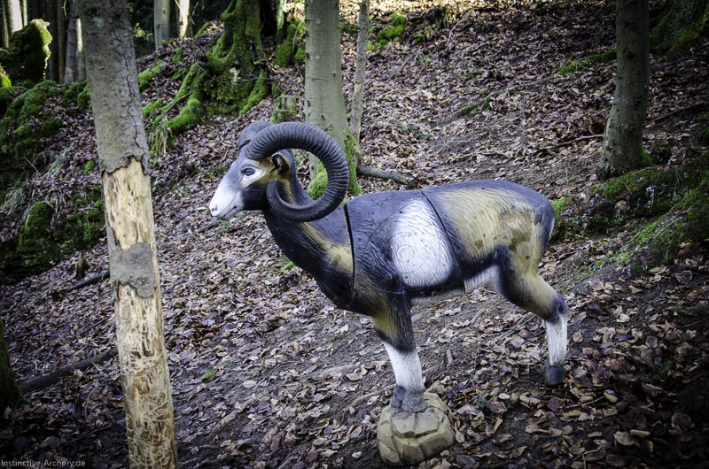 3D-Bogenparcours Leinen Los Gößweinstein - UPDATE Mai 129-bogenschiessen I A 090 Februar 16 9972-bogenschiessen