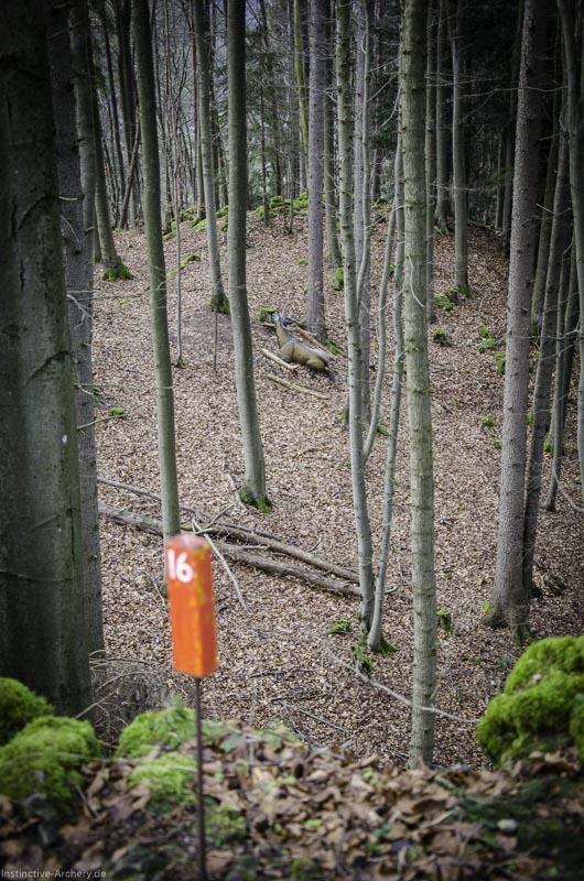 3D-Bogenparcours Leinen Los Gößweinstein - UPDATE Mai 137-bogenschiessen I A 103 Februar 16 9985-bogenschiessen
