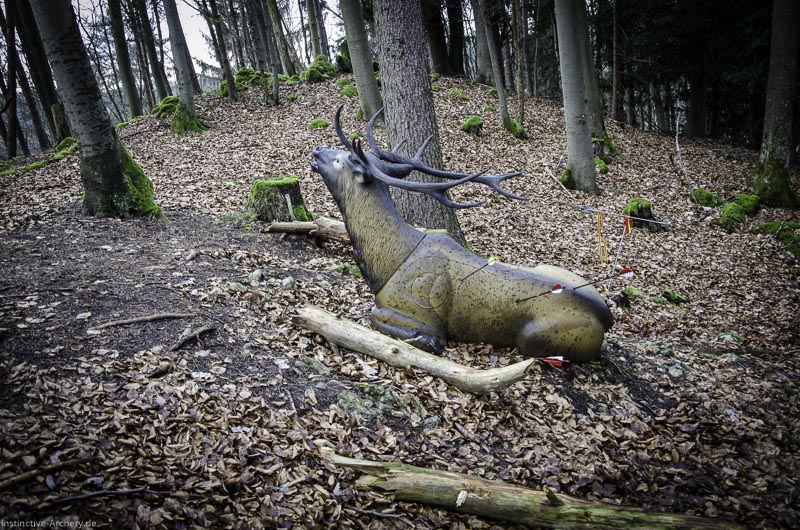 3D-Bogenparcours Leinen Los Gößweinstein - UPDATE Mai 139-bogenschiessen I A 120 Februar 16 0003-bogenschiessen