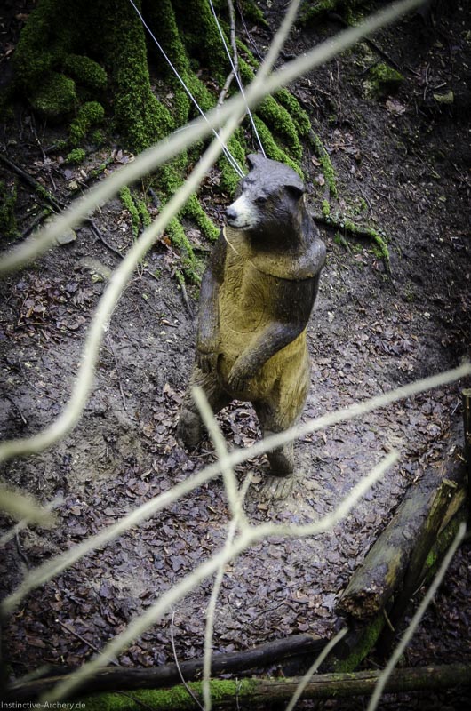 3D-Bogenparcours Leinen Los Gößweinstein - UPDATE Mai 144-bogenschiessen I A 137 Februar 16 0020-bogenschiessen