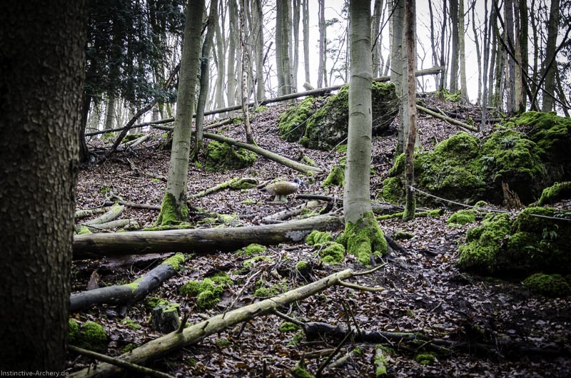 3D-Bogenparcours Leinen Los Gößweinstein - UPDATE Mai 145-bogenschiessen I A 138 Februar 16 0021-bogenschiessen