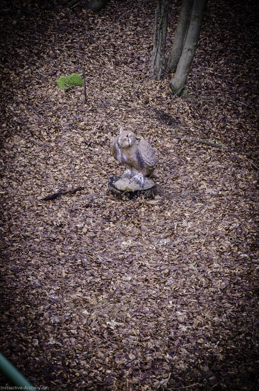 3D-Bogenparcours Leinen Los Gößweinstein - UPDATE Mai 161-bogenschiessen I A 173 Februar 16 0056-bogenschiessen