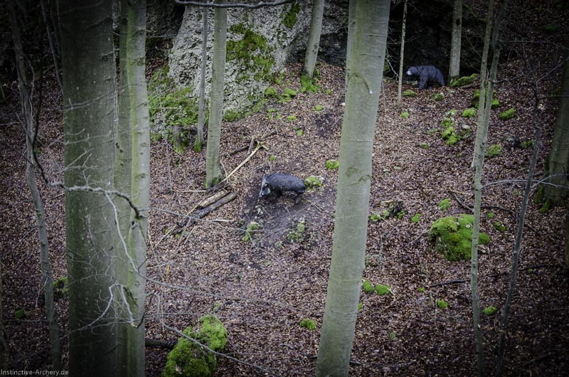 3D-Bogenparcours Leinen Los Gößweinstein - UPDATE Mai 167-bogenschiessen I A 190 Februar 16 0073-bogenschiessen