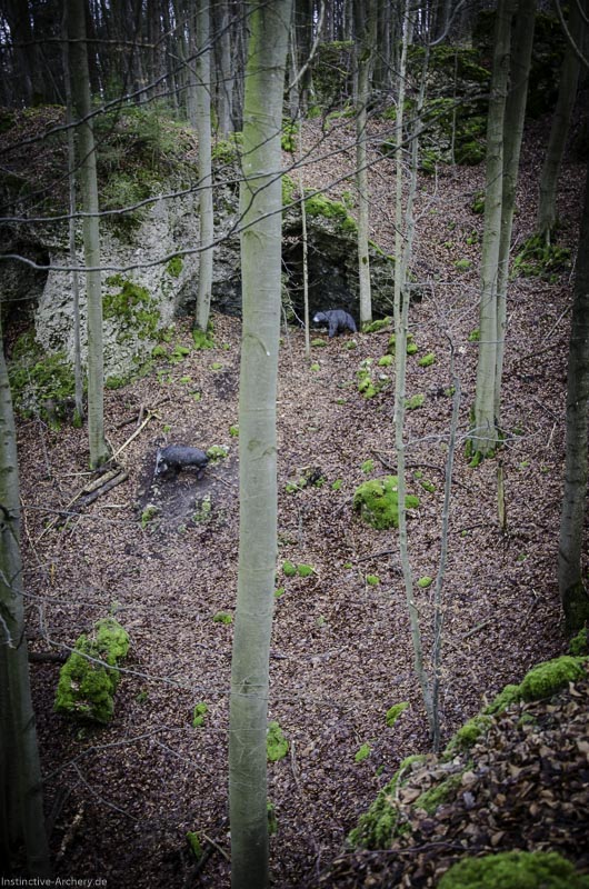 3D-Bogenparcours Leinen Los Gößweinstein - UPDATE Mai 169-bogenschiessen I A 193 Februar 16 0076-bogenschiessen