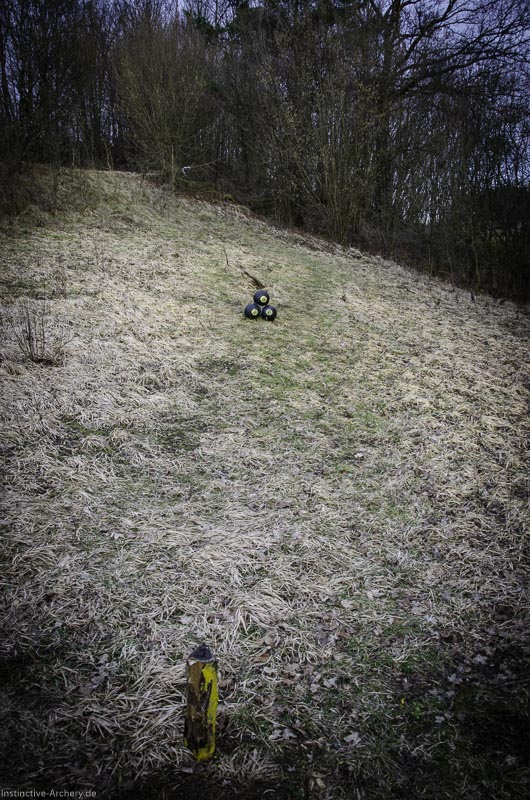 3D-Bogenparcours Leinen Los Gößweinstein - UPDATE Mai 70-bogenschiessen I A 199 Februar 16 0082-bogenschiessen