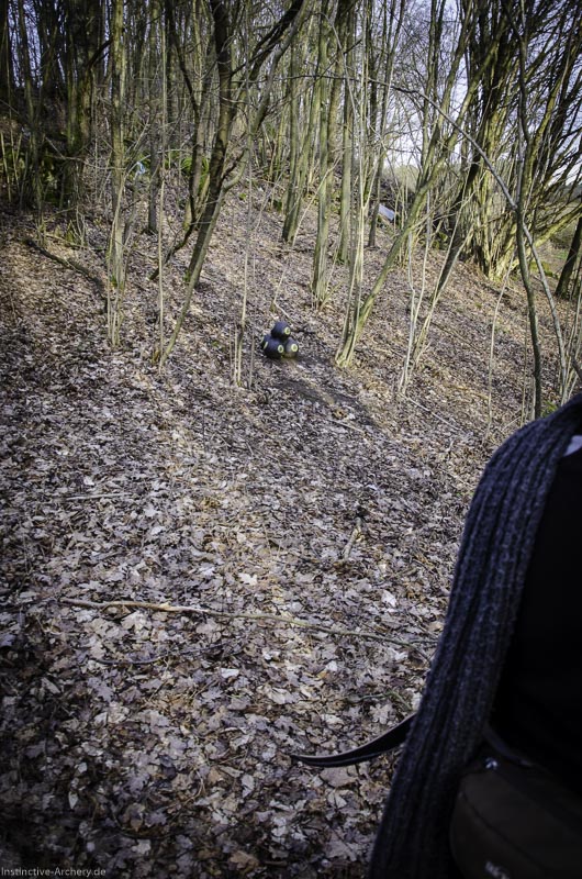 3D-Bogenparcours Leinen Los Gößweinstein - UPDATE Mai 74-bogenschiessen I A 204 Februar 16 0087-bogenschiessen