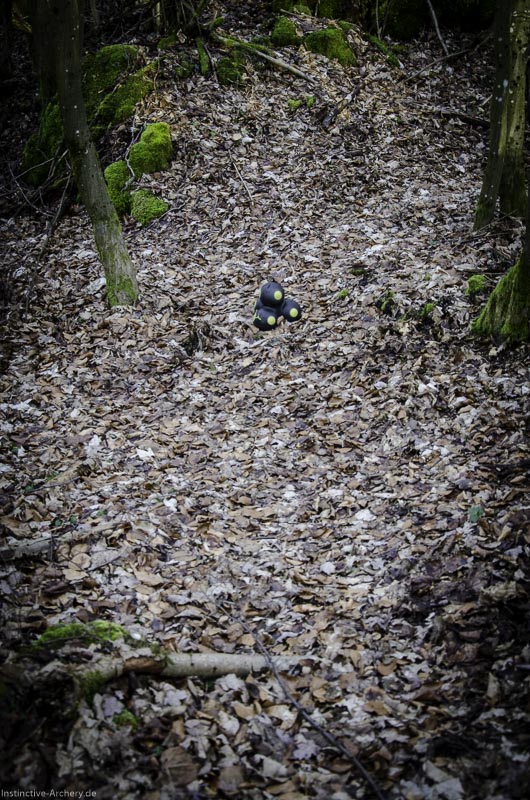 3D-Bogenparcours Leinen Los Gößweinstein - UPDATE Mai 75-bogenschiessen I A 205 Februar 16 0088-bogenschiessen