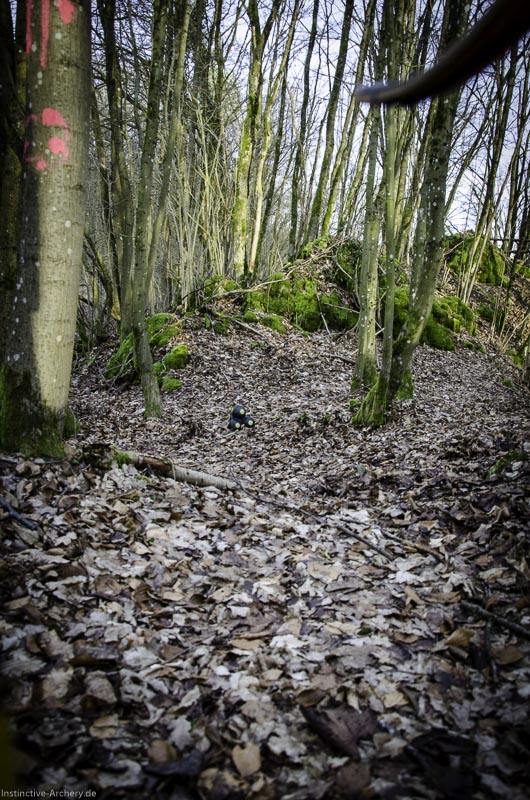 3D-Bogenparcours Leinen Los Gößweinstein - UPDATE Mai 76-bogenschiessen I A 206 Februar 16 0089-bogenschiessen
