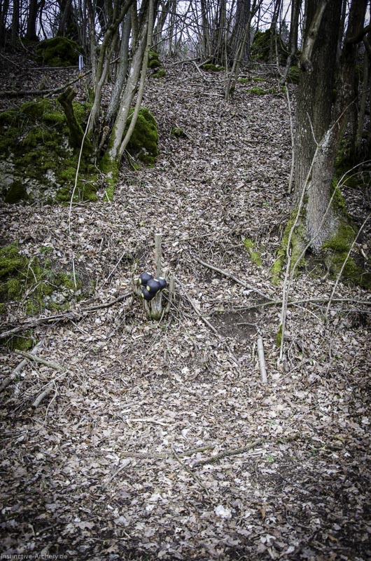 3D-Bogenparcours Leinen Los Gößweinstein - UPDATE Mai 85-bogenschiessen I A 221 Februar 16 0104-bogenschiessen