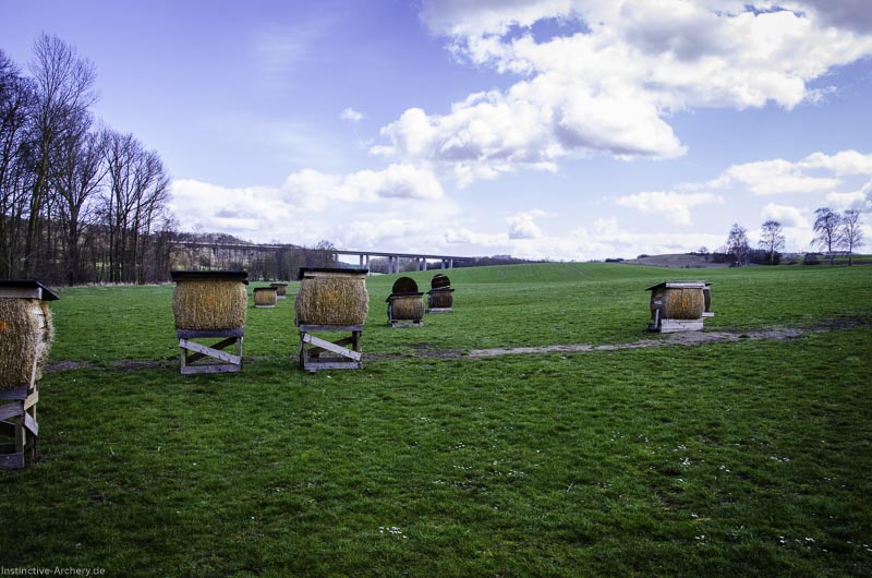 3D Bogenparcours Diebacher Edelknechte 2-bogenschiessen I A 005 März 16 0511-bogenschiessen