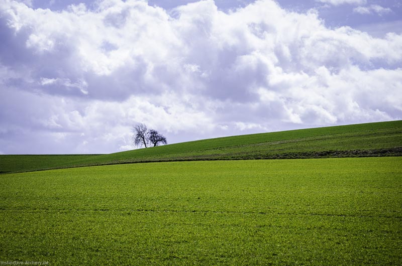 3D Bogenparcours Diebacher Edelknechte 11-bogenschiessen I A 014 März 16 0526-bogenschiessen