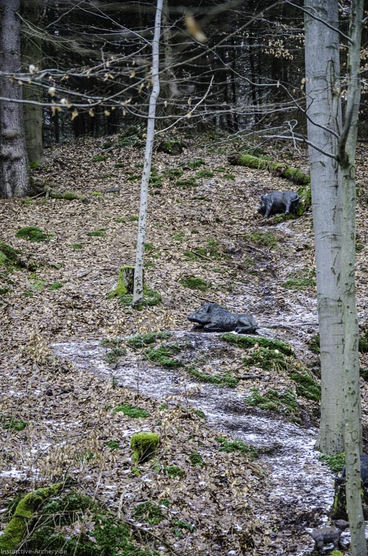 3D Parcours Gräfenroda 21-bogenschiessen I A 021 März 16 0182-bogenschiessen