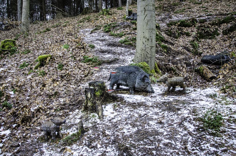 3D Parcours Gräfenroda 22-bogenschiessen I A 022 März 16 0183-bogenschiessen