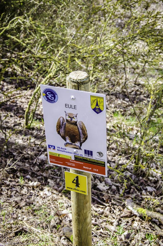 3D Bogenparcours Diebacher Edelknechte 21-bogenschiessen I A 024 März 16 0542-bogenschiessen