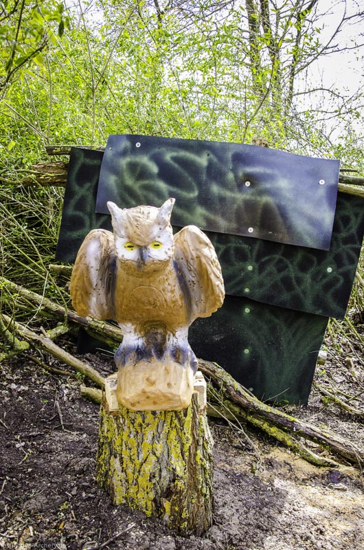 3D Bogenparcours Diebacher Edelknechte 23-bogenschiessen I A 026 März 16 0545-bogenschiessen