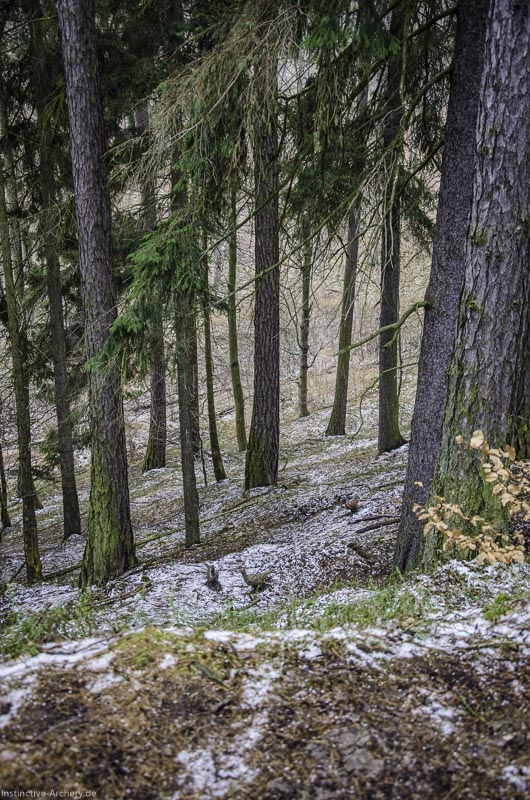3D Parcours Gräfenroda 28-bogenschiessen I A 028 März 16 0196-bogenschiessen