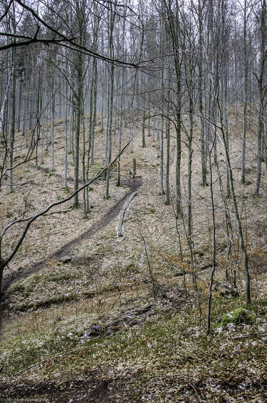 3D Parcours Gräfenroda 31-bogenschiessen I A 031 März 16 0199-bogenschiessen