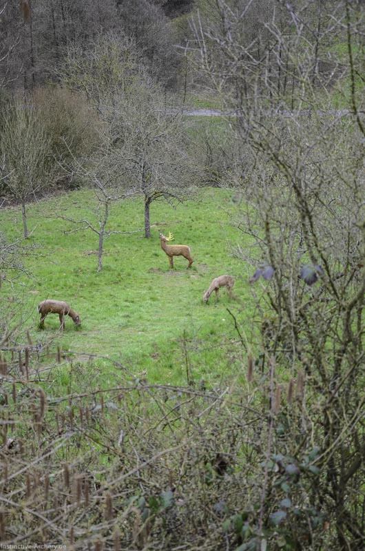 I A 032 März 16 0411-bogenschiessen