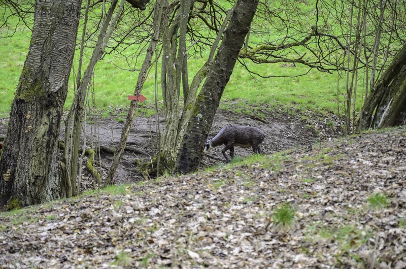I A 034 März 16 0414-bogenschiessen