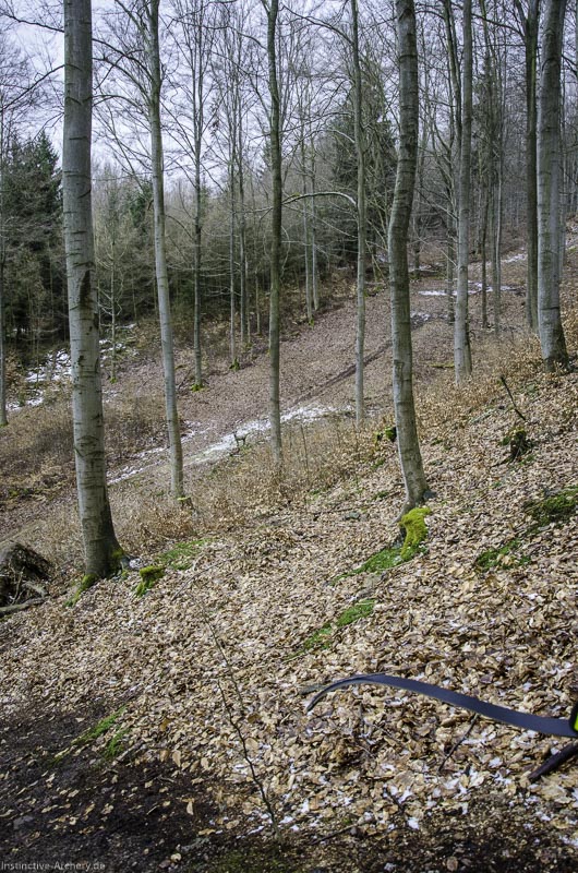 3D Parcours Gräfenroda 35-bogenschiessen I A 035 März 16 0203-bogenschiessen