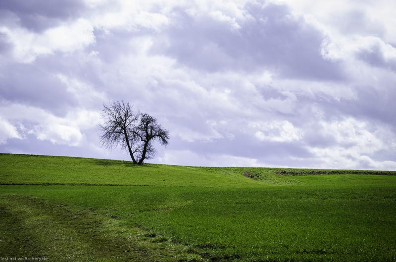 3D Bogenparcours Diebacher Edelknechte 32-bogenschiessen I A 035 März 16 0559-bogenschiessen