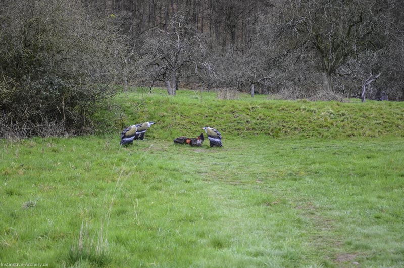 I A 036 März 16 0417-bogenschiessen