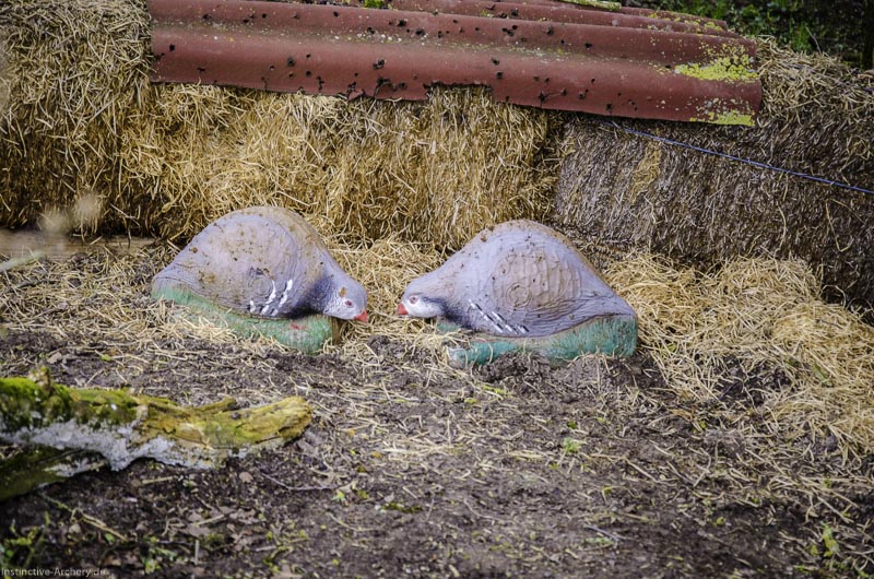 3D Bogenparcours Diebacher Edelknechte 35-bogenschiessen I A 038 März 16 0565-bogenschiessen