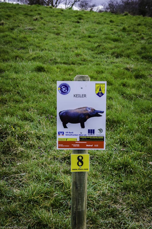 3D Bogenparcours Diebacher Edelknechte 36-bogenschiessen I A 039 März 16 0566-bogenschiessen