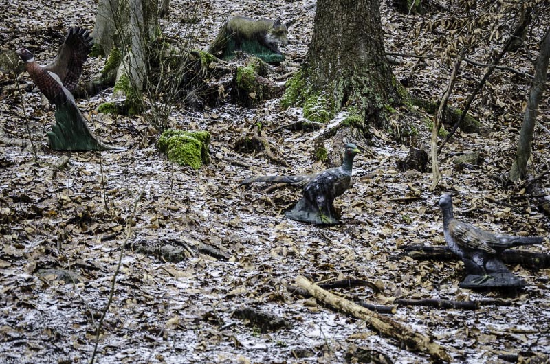 3D Parcours Gräfenroda 44-bogenschiessen I A 044 März 16 0217-bogenschiessen