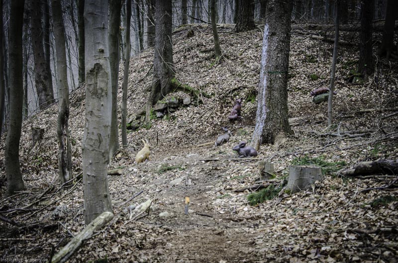 3D Parcours Gräfenroda 74-bogenschiessen I A 045 März 16 0280-bogenschiessen