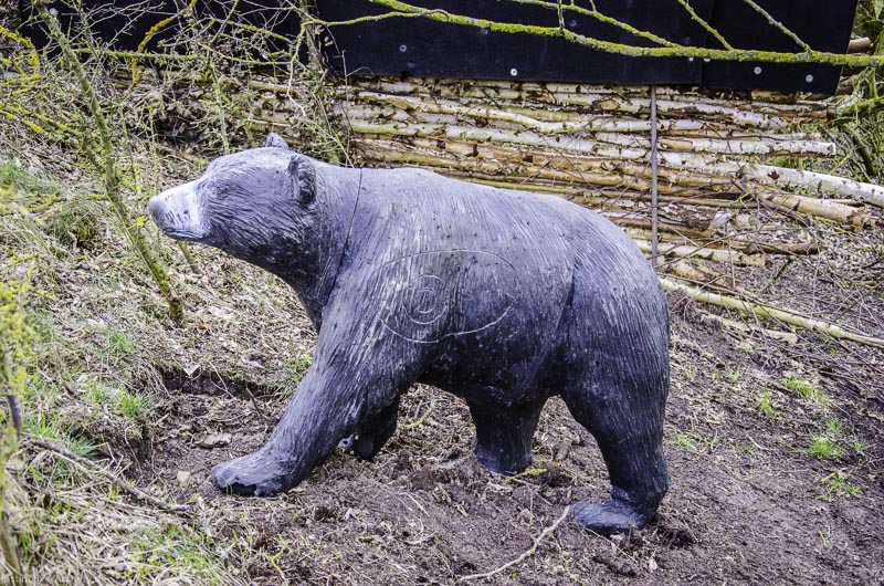 3D Bogenparcours Diebacher Edelknechte 42-bogenschiessen I A 045 März 16 0574-bogenschiessen