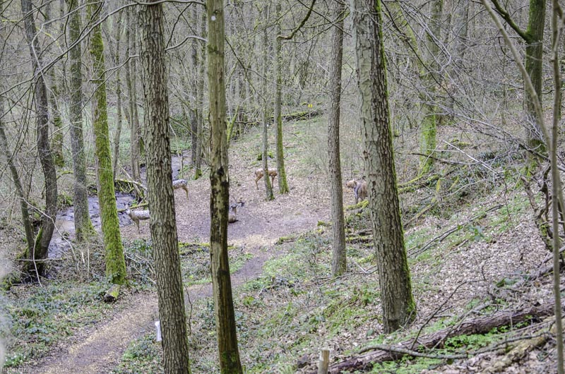 I A 048 März 16 0442-bogenschiessen