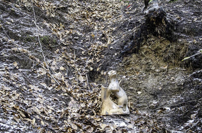 3D Parcours Gräfenroda 49-bogenschiessen I A 049 März 16 0231-bogenschiessen