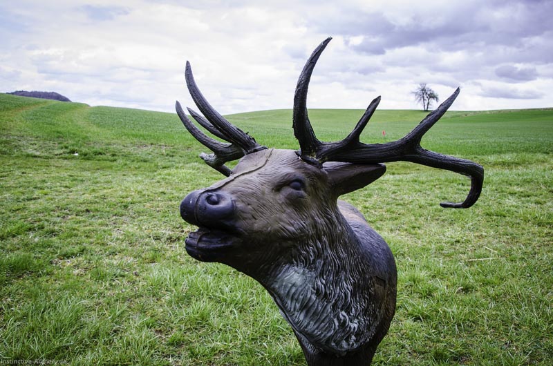 3D Bogenparcours Diebacher Edelknechte 47-bogenschiessen I A 050 März 16 0581-bogenschiessen