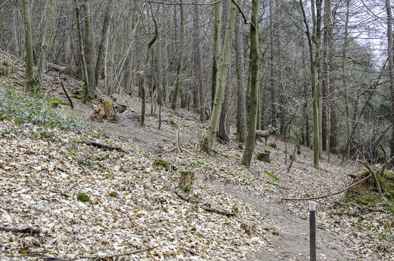 I A 053 März 16 0450-bogenschiessen