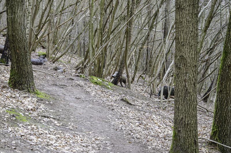 I A 061 März 16 0461-bogenschiessen