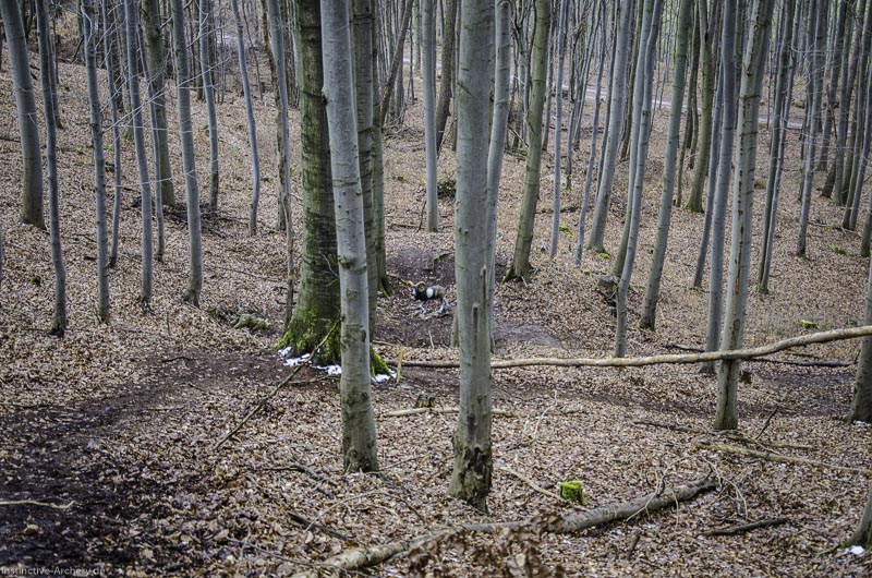 3D Parcours Gräfenroda 62-bogenschiessen I A 062 März 16 0248-bogenschiessen