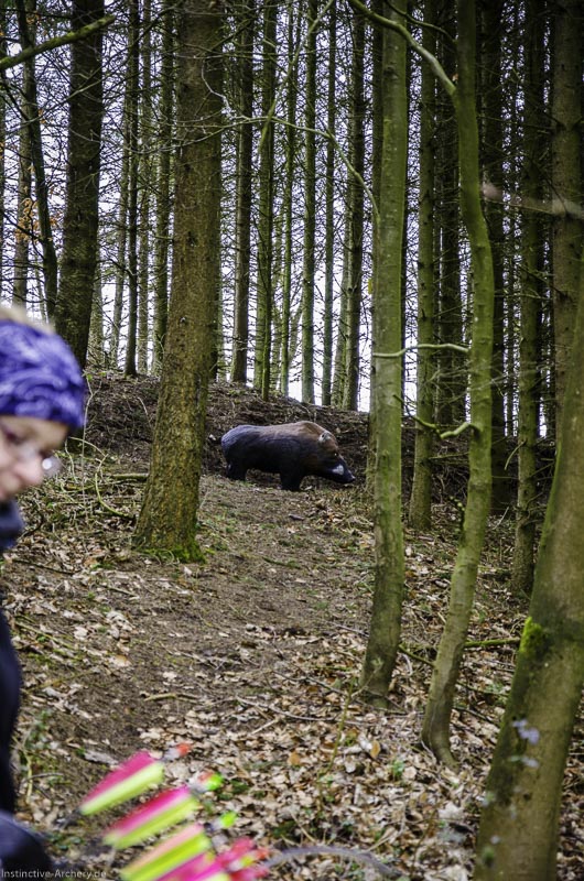 3D Bogenparcours Diebacher Edelknechte 59-bogenschiessen I A 062 März 16 0600-bogenschiessen