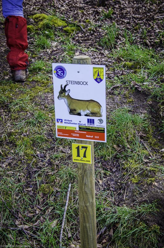 3D Bogenparcours Diebacher Edelknechte 68-bogenschiessen I A 071 März 16 0614-bogenschiessen