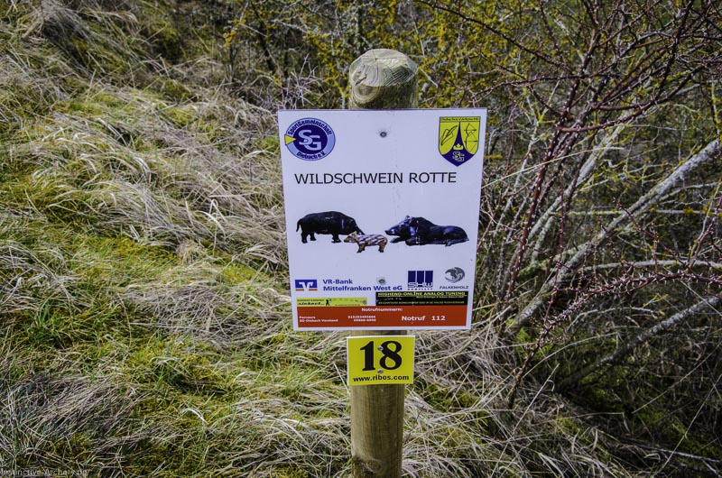 3D Bogenparcours Diebacher Edelknechte 71-bogenschiessen I A 074 März 16 0619-bogenschiessen