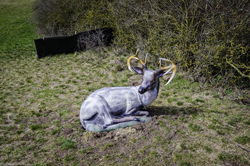 3D Bogenparcours Diebacher Edelknechte 81-bogenschiessen I A 084 März 16 0635-bogenschiessen