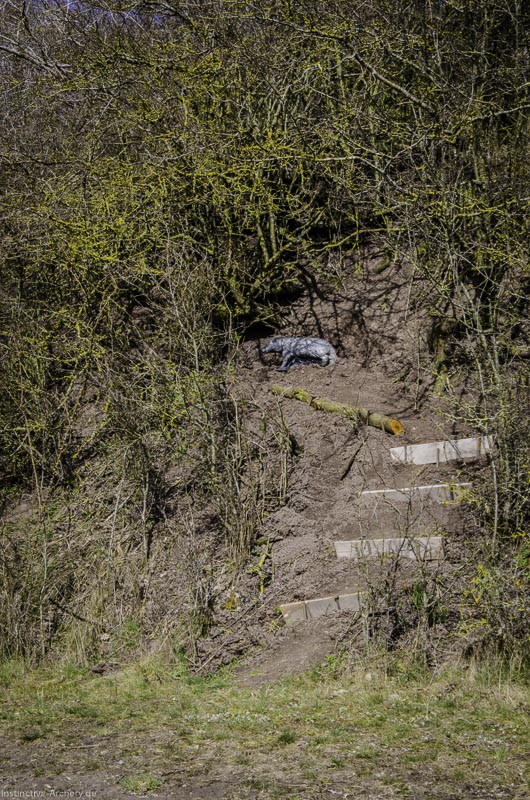 3D Bogenparcours Diebacher Edelknechte 83-bogenschiessen I A 086 März 16 0637-bogenschiessen