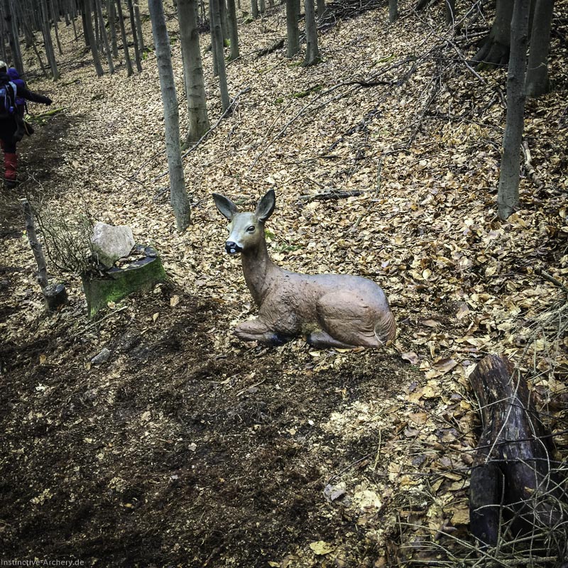 3D Parcours Gräfenroda 106-bogenschiessen I A 090 März 16 4683-bogenschiessen