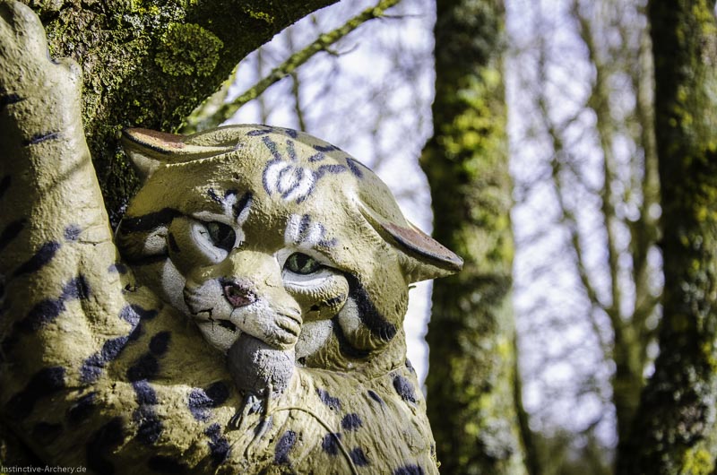 3D Bogenparcours Diebacher Edelknechte 99-bogenschiessen I A 102 März 16 0668-bogenschiessen