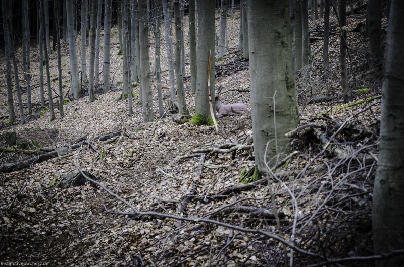 3D Parcours Gräfenroda 104-bogenschiessen I A 122 März 16 0331-bogenschiessen