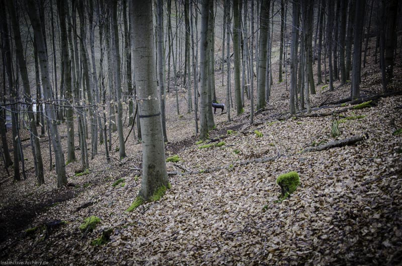 3D Parcours Gräfenroda 107-bogenschiessen I A 124 März 16 0333-bogenschiessen