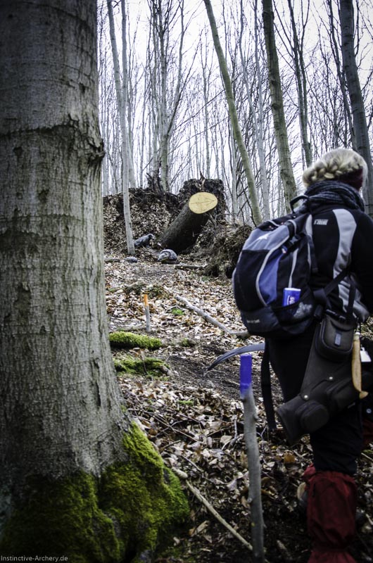 3D Parcours Gräfenroda 115-bogenschiessen I A 138 März 16 0344-bogenschiessen