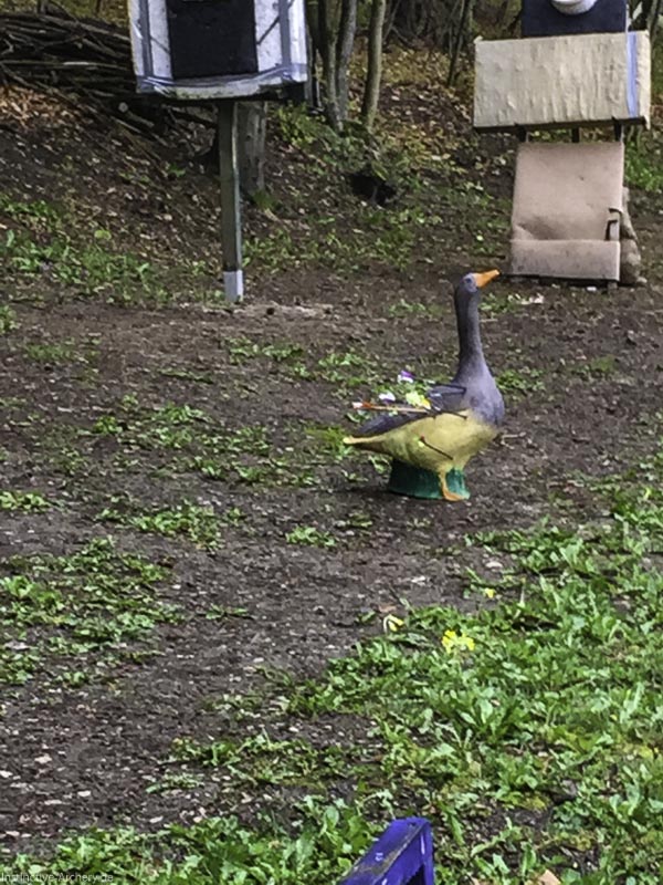 Wetter getrotzt - Schießspiele Dornig Schützen 25-bogenschiessen I A 009 April 16 4978-bogenschiessen