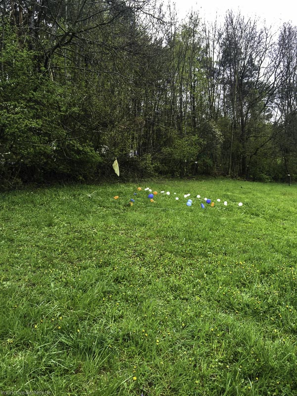 Wetter getrotzt - Schießspiele Dornig Schützen 22-bogenschiessen I A 012 April 16 4981-bogenschiessen