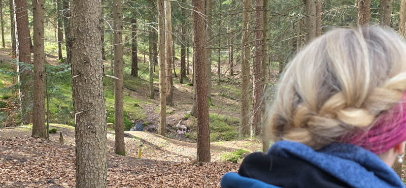 Abenberg 800er 017-bogenschiessen